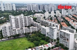 Nhu cầu ở thực định hình lại thị trường căn hộ chuẩn cao cấp, giá tầm trung