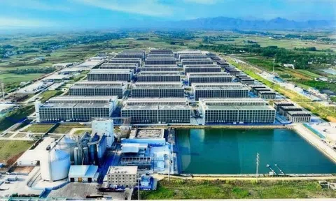 Mô hình nuôi heo cao tầng sắp xuất hiện tại Việt Nam, liệu có thực sự hiệu quả?