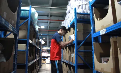 Công nghệ phân loại tự động: Lợi thế giúp BEST chinh phục đối tác nhượng quyền
